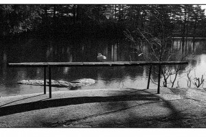 Bilde av Benken ved Brydedammen